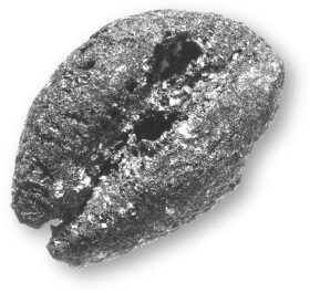 Grano de cebada carbonizado encontrado en el yacimiento de la Cueva Pintada de Gáldar.